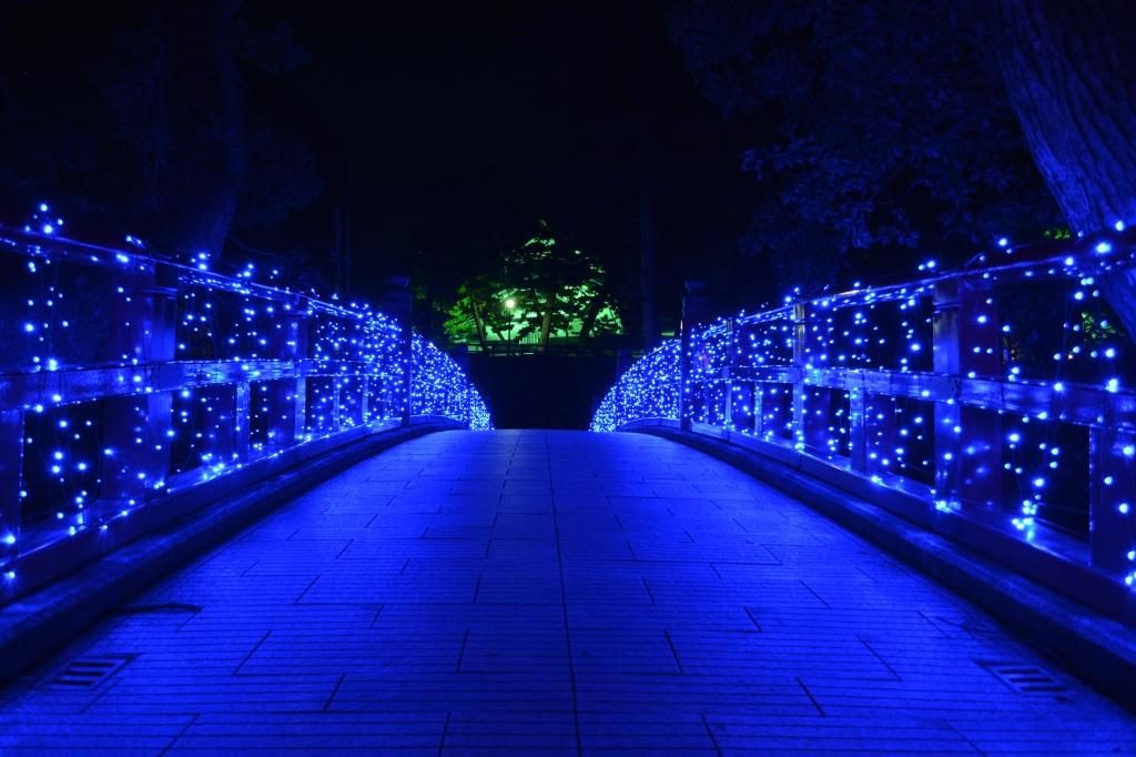 【西三河】クリスマスデートにおすすめ！岡崎城のイルミネーションがすごい！