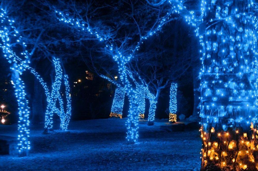 【西三河】クリスマスデートにおすすめ！岡崎城のイルミネーションがすごい！