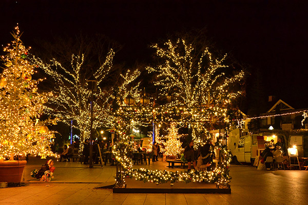 【クリスマスデート】安城デンパークのイルミネーションがロマンチック！