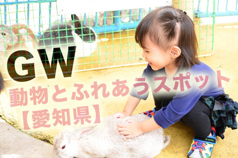GW【愛知県】大人も満足！子供といく動物とふれあえる最強スポット