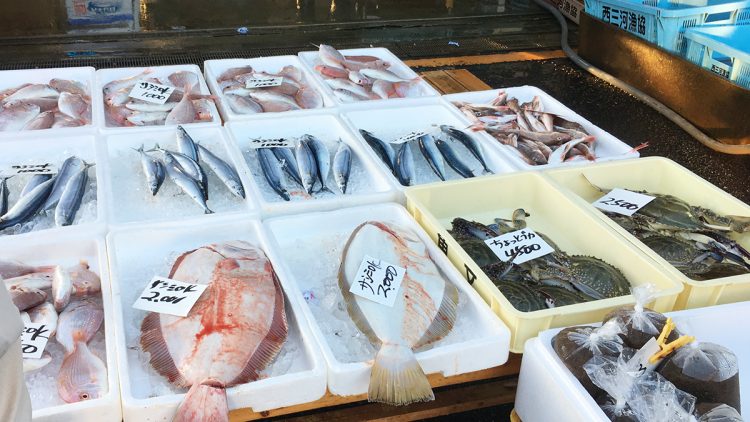 【西尾市】一色さかな村は新鮮な魚介が安い！営業日や営業時間も